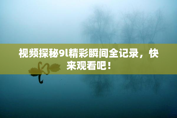 视频探秘9l精彩瞬间全记录，快来观看吧！