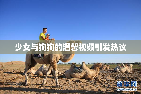 少女与狗狗的温馨视频引发热议