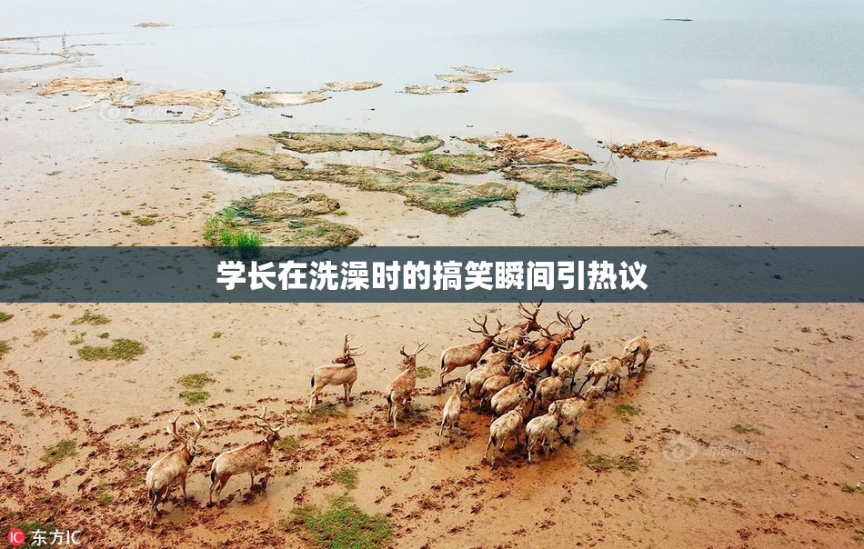 学长在洗澡时的搞笑瞬间引热议