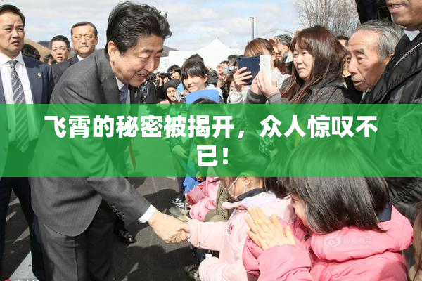 飞霄的秘密被揭开，众人惊叹不已！