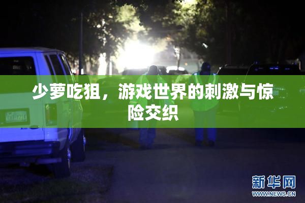 少萝吃狙，游戏世界的刺激与惊险交织