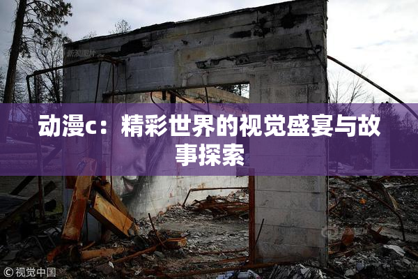动漫c：精彩世界的视觉盛宴与故事探索