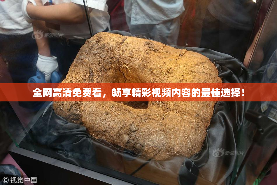 全网高清免费看，畅享精彩视频内容的最佳选择！