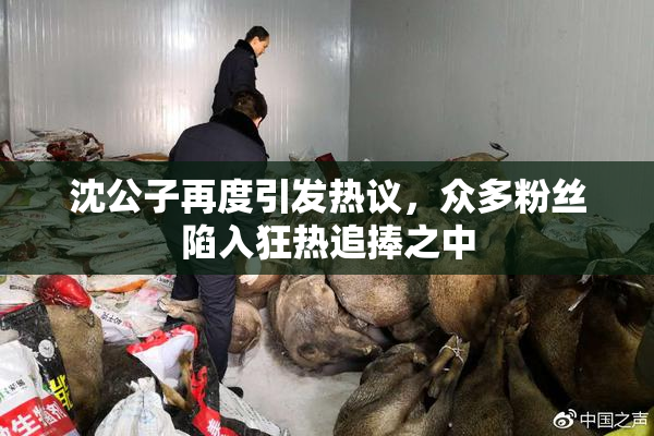 沈公子再度引发热议，众多粉丝陷入狂热追捧之中