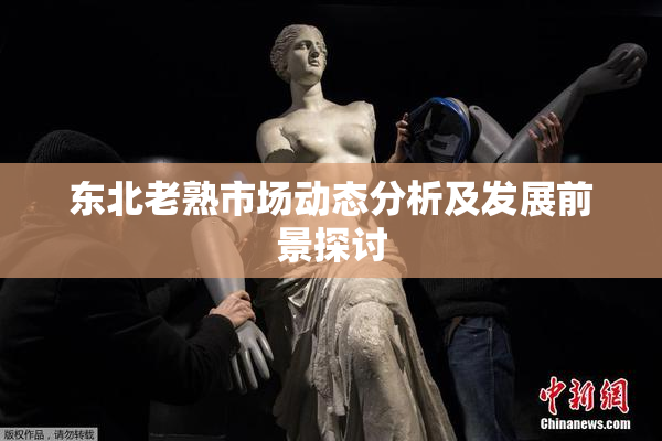 东北老熟市场动态分析及发展前景探讨