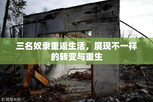 三名奴隶重返生活，展现不一样的转变与重生