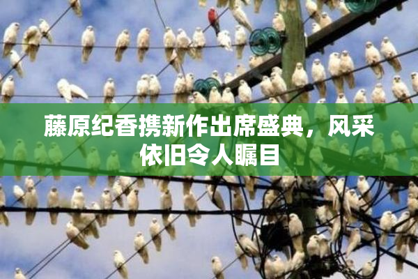 藤原纪香携新作出席盛典，风采依旧令人瞩目
