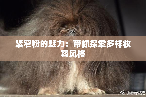 紧窄粉的魅力：带你探索多样妆容风格