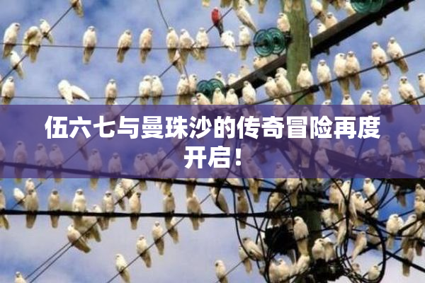 伍六七与曼珠沙的传奇冒险再度开启！