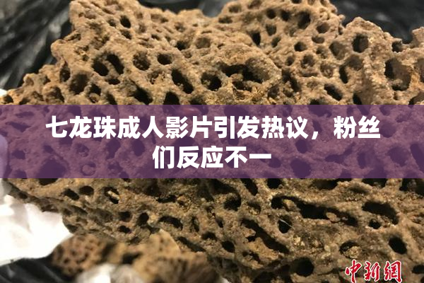 七龙珠成人影片引发热议，粉丝们反应不一