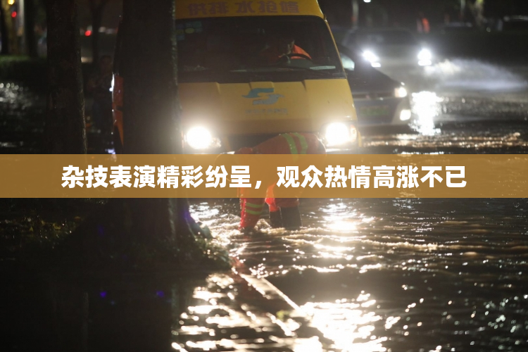 杂技表演精彩纷呈，观众热情高涨不已