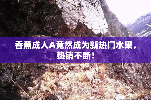 香蕉成人A竟然成为新热门水果，热销不断！
