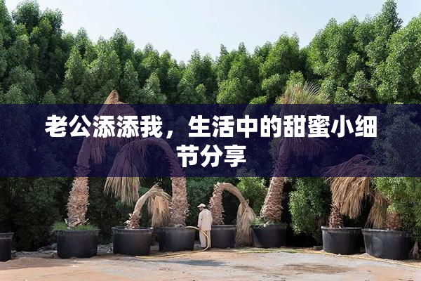 老公添添我，生活中的甜蜜小细节分享