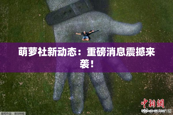 萌萝社新动态：重磅消息震撼来袭！