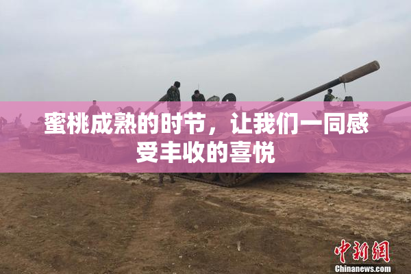 蜜桃成熟的时节，让我们一同感受丰收的喜悦