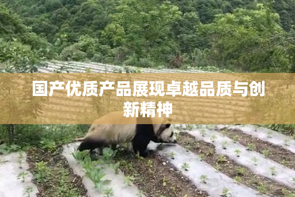 国产优质产品展现卓越品质与创新精神