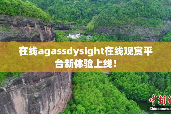 在线agassdysight在线观赏平台新体验上线！