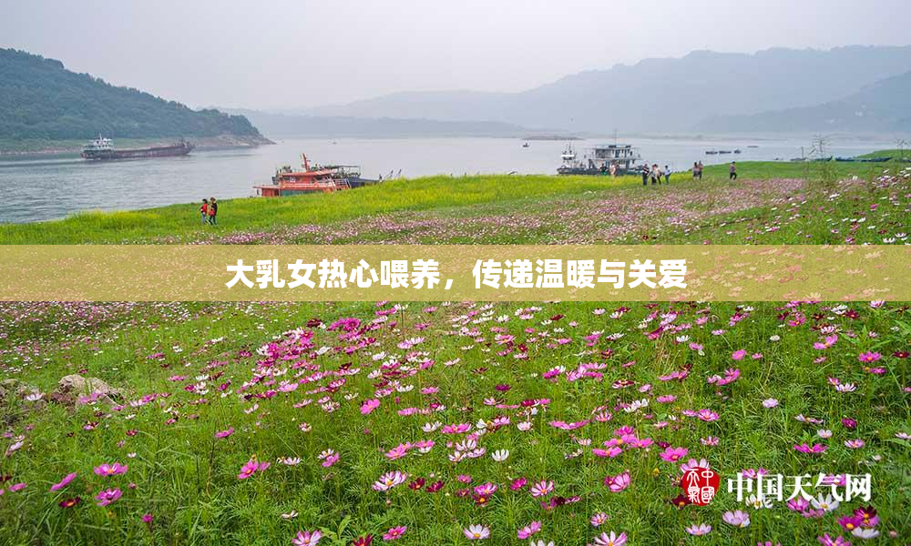 大乳女热心喂养，传递温暖与关爱