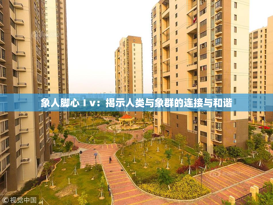 象人脚心Ⅰv：揭示人类与象群的连接与和谐