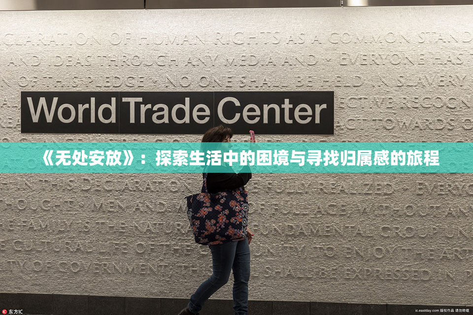 《无处安放》：探索生活中的困境与寻找归属感的旅程