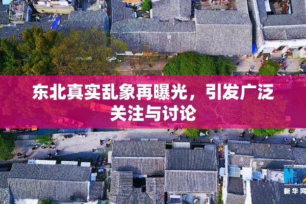 东北真实乱象再曝光，引发广泛关注与讨论