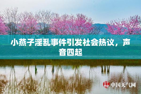 小燕子淫乱事件引发社会热议，声音四起