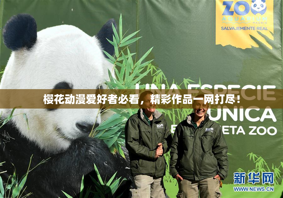 樱花动漫爱好者必看，精彩作品一网打尽！