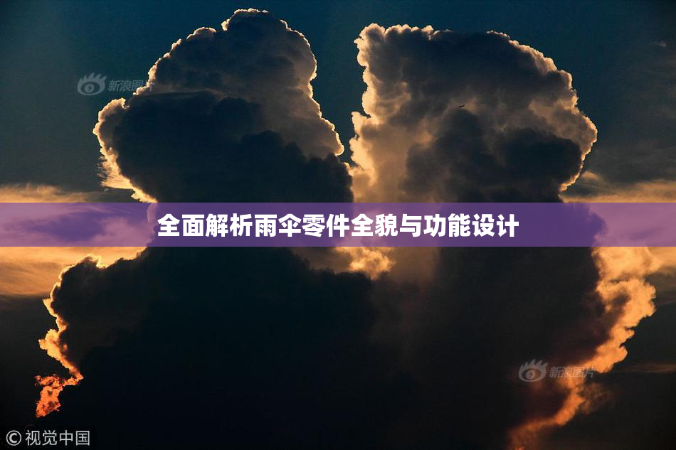 全面解析雨伞零件全貌与功能设计