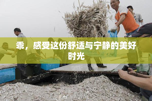 乖，感受这份舒适与宁静的美好时光