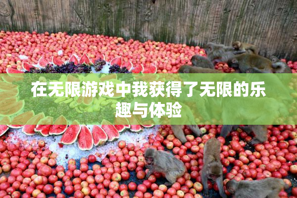 在无限游戏中我获得了无限的乐趣与体验