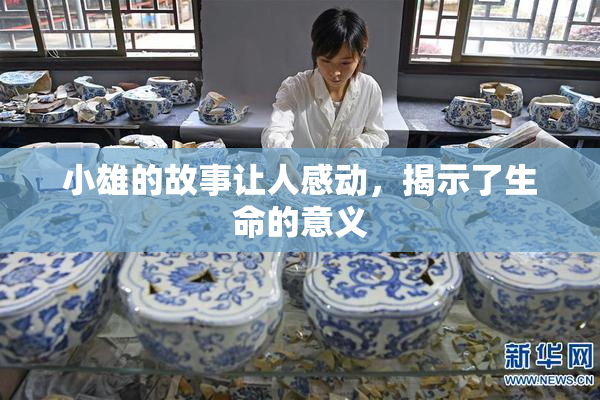 小雄的故事让人感动，揭示了生命的意义