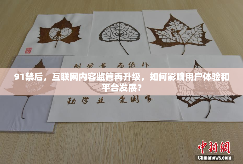 91禁后，互联网内容监管再升级，如何影响用户体验和平台发展？