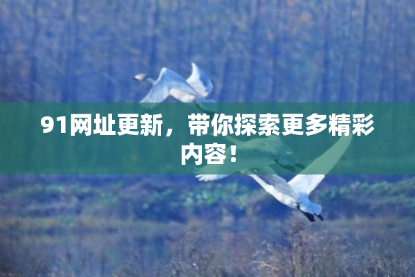 91网址更新，带你探索更多精彩内容！