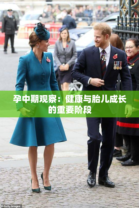 孕中期观察：健康与胎儿成长的重要阶段