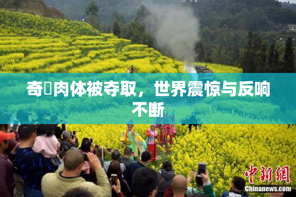 奇犽肉体被夺取，世界震惊与反响不断