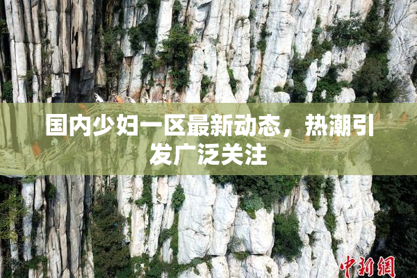 国内少妇一区最新动态，热潮引发广泛关注