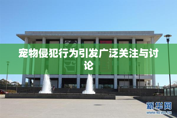 宠物侵犯行为引发广泛关注与讨论
