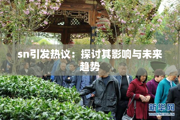 sn引发热议：探讨其影响与未来趋势
