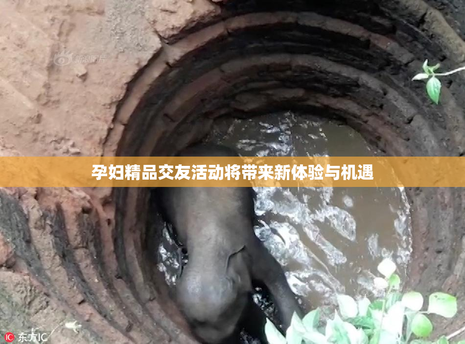 孕妇精品交友活动将带来新体验与机遇