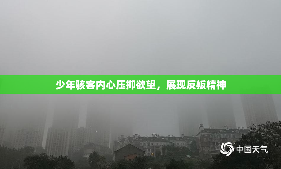 少年骇客内心压抑欲望，展现反叛精神