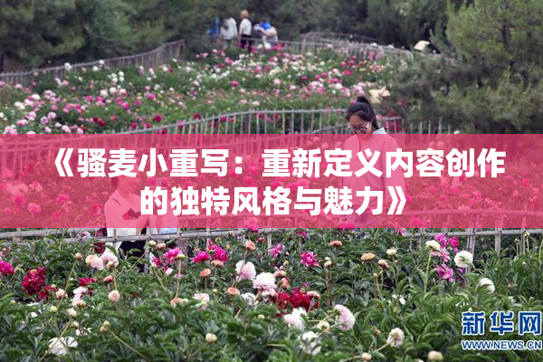 《骚麦小重写：重新定义内容创作的独特风格与魅力》