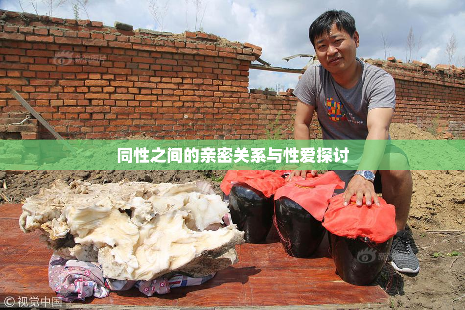 同性之间的亲密关系与性爱探讨
