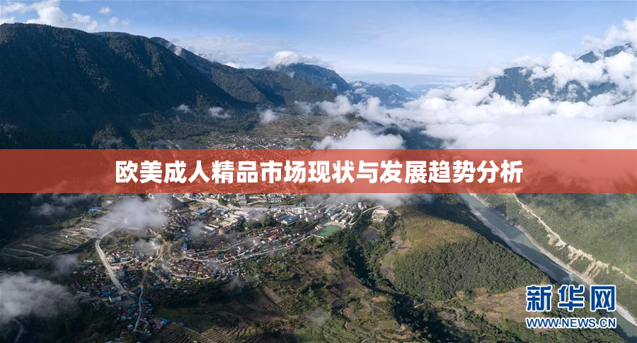 欧美成人精品市场现状与发展趋势分析