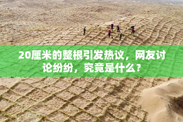 20厘米的整根引发热议，网友讨论纷纷，究竟是什么？