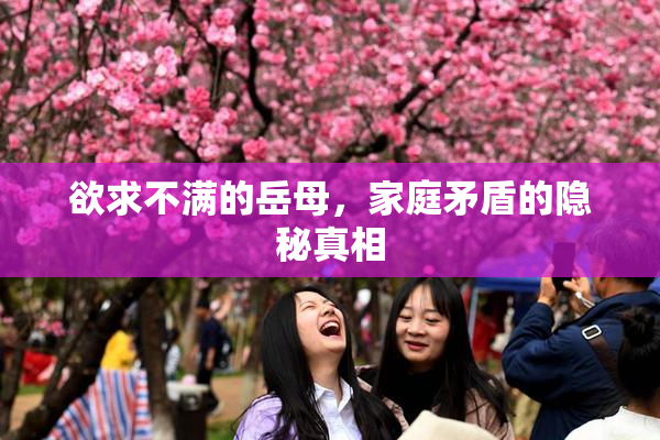 欲求不满的岳母，家庭矛盾的隐秘真相