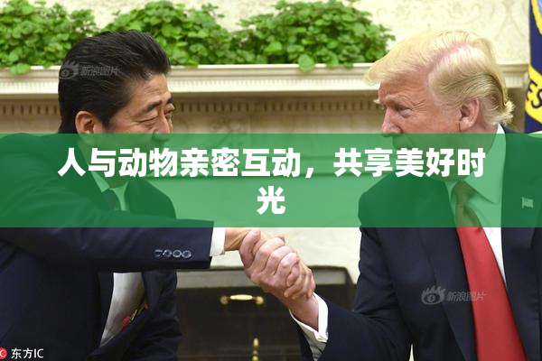 人与动物亲密互动，共享美好时光