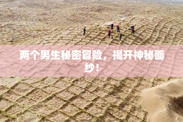 两个男生秘密冒险，揭开神秘面纱！