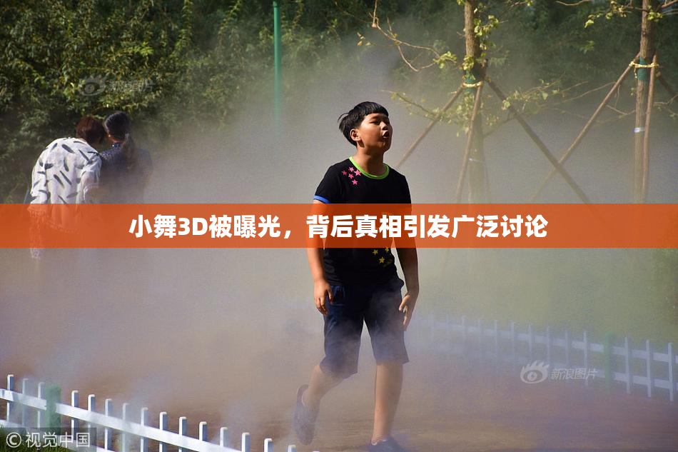 小舞3D被曝光，背后真相引发广泛讨论
