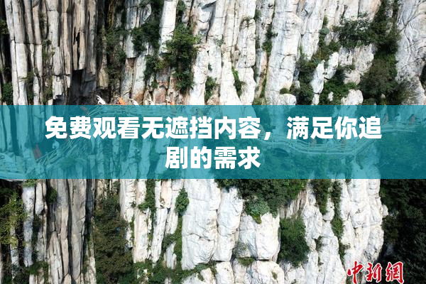 免费观看无遮挡内容，满足你追剧的需求