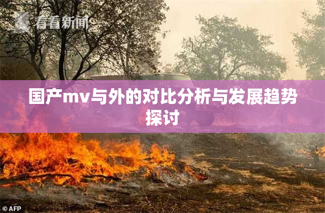 国产mv与外的对比分析与发展趋势探讨